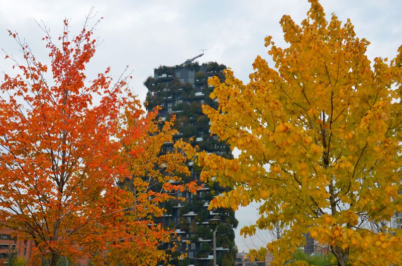 Mailand, Herbst in Porta Nuova