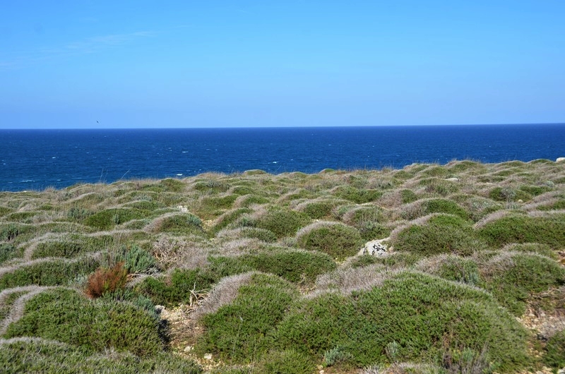 Apulien: Otranto, Wandern an der Spitze Italiens