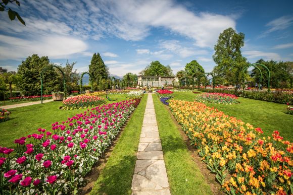 Terre Borromeo: Blütenpracht am Lago Maggiore