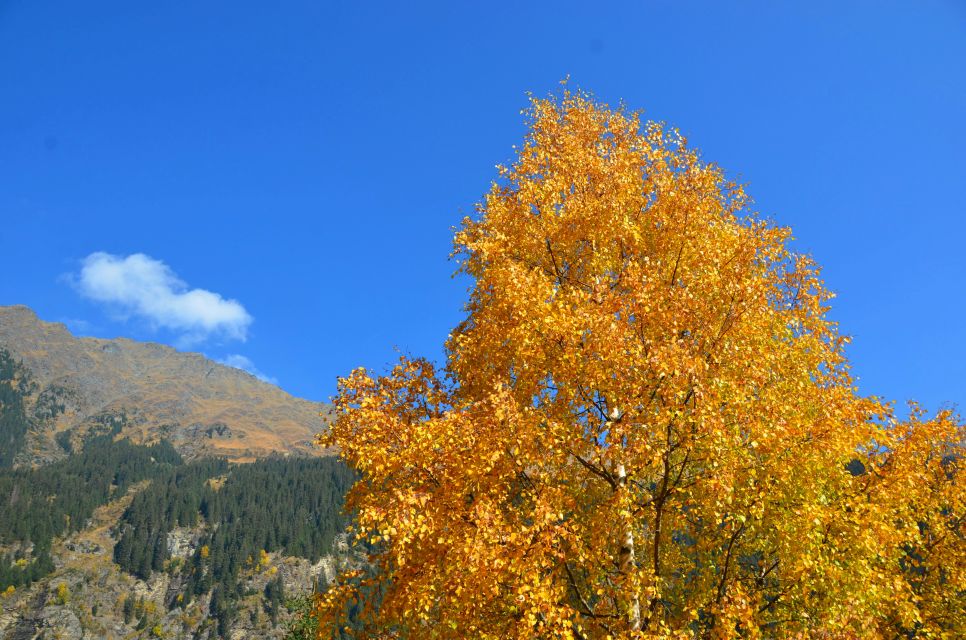 Herbst in Südtirol, Ridnauntal