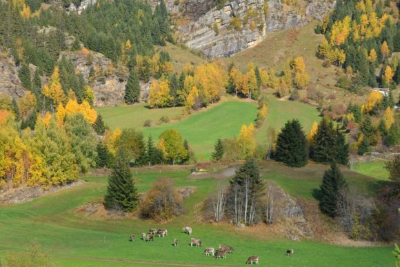 Südtirol: Herbst in den Bergen