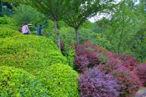 Rom-Botanischer- Garten-Elvira-Dippoliti(2)