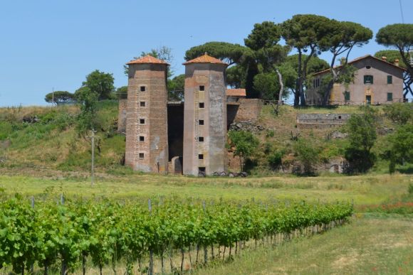 Rom, Tenuta Fiorano, Foto TiDPress