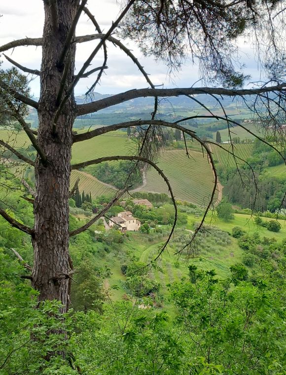 Toskana, San Gimignano, Foto Lisa Mittelberger