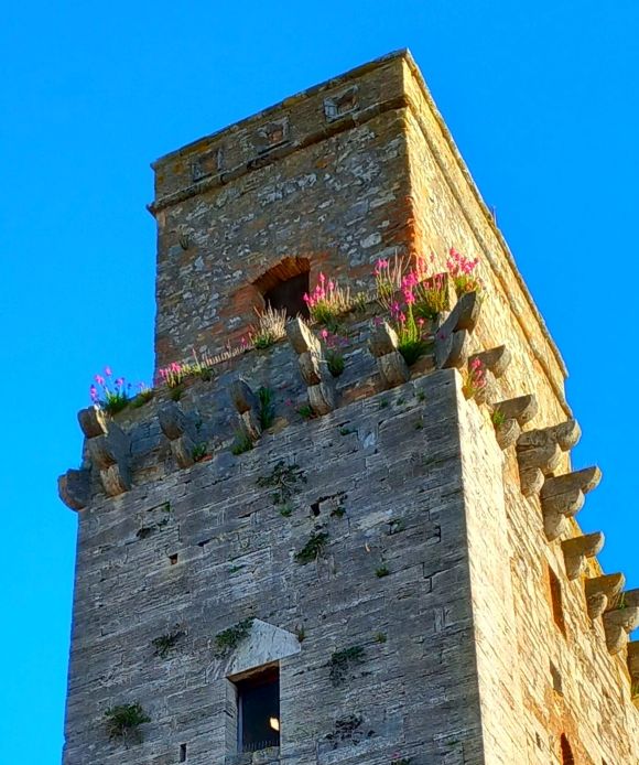Toskana, San Gimignano, Foto Lisa Mittelberger