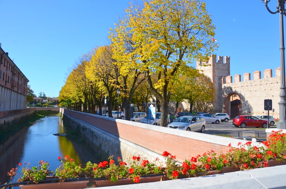 Wein und „Blattwerk“ im Soave-Gebiet