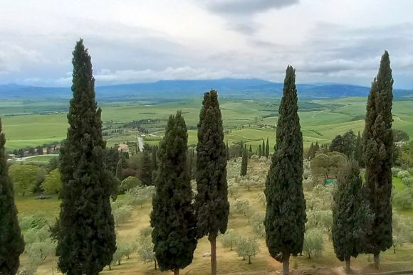  Toskana, Val d'Orcia, Foto LIsa Mittelberger 