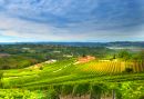 Piemont, Langhe: Die Tradition der Spitzenweine