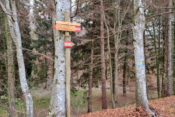 Treviso: Die Voralpen mit Wäldern, Höhlen und Schluchten