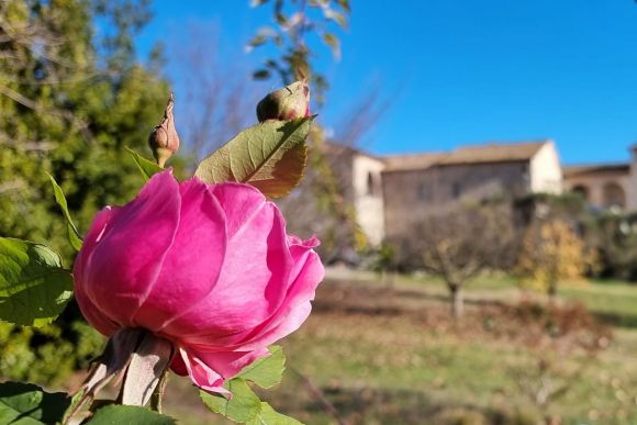 Umbrien: Das Relais „La Tenuta del Gallo”