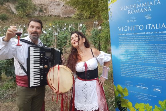 Die Weine aus dem Gemüsegarten