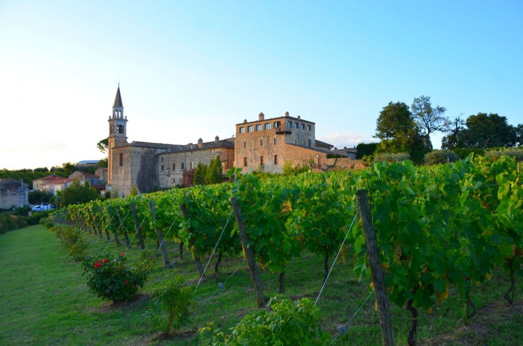 Masciarelli-Weine in den Abruzzen