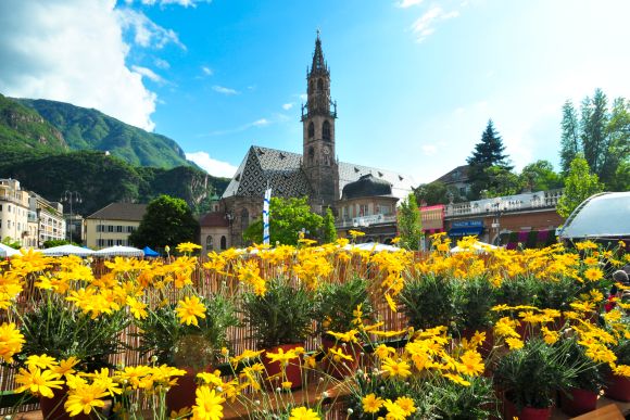 Bozen: Kreativer und blumiger Frühling