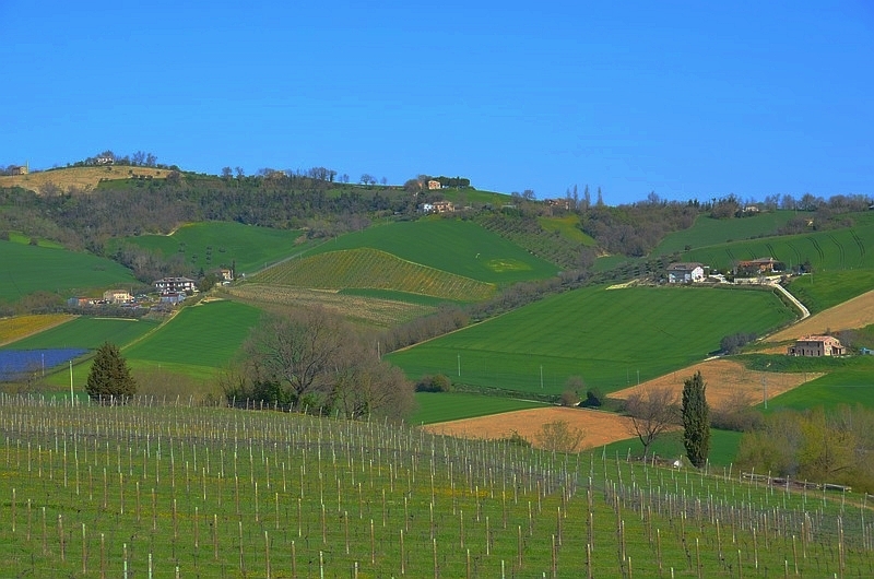 “Borghi“ und Hügel in der Provinz Ascoli Piceno