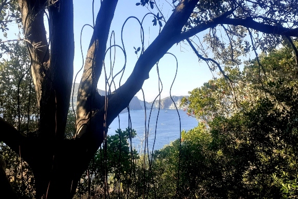 Ponza: Farben und Düfte zwischen Land und Meer